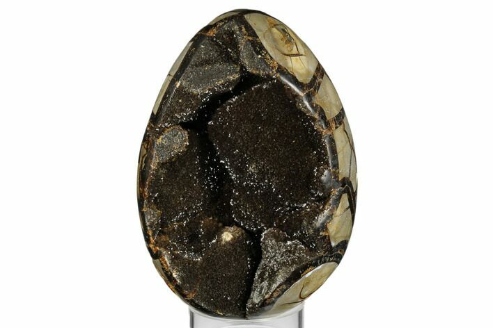 Septarian Dragon Egg Geode - Black & Brown Crystals #183141